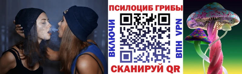 Галлюциногенные грибы мухоморы где купить omg рабочий сайт Александровское